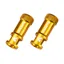 Granite Juicy Nipple Valve Cap And Removal Tool in Gold